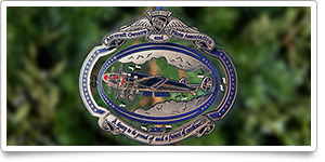 AOPA holiday ornament