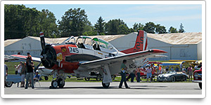 Wings Field