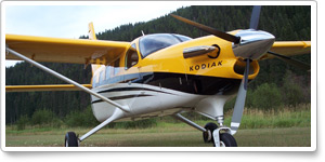 Quest Kodiak