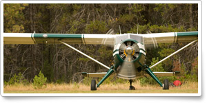 Help preserve backcountry airstrips