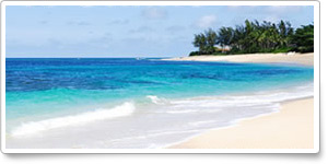 Plan your summer vacation with Orbitz and AOPA