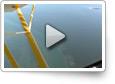 AOPA Live