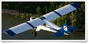 Learn to fly a taildragger