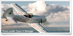 Dassault Falcon Jet decorates Yak 50 for Make-A-Wish Foundation