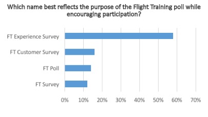 <em>Flight School Business</em>