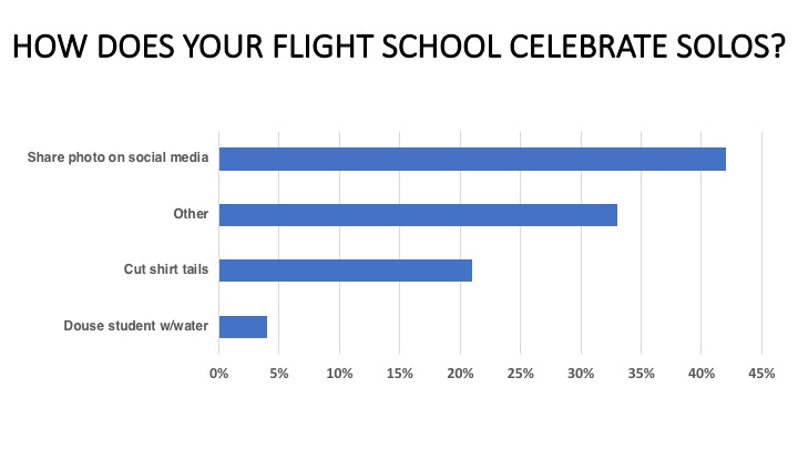 <em>Flight School Business</em>