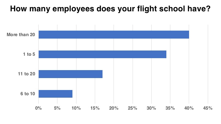<em>Flight School Business</em>