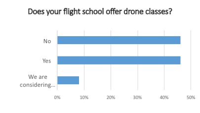 <em>Flight School Business</em>