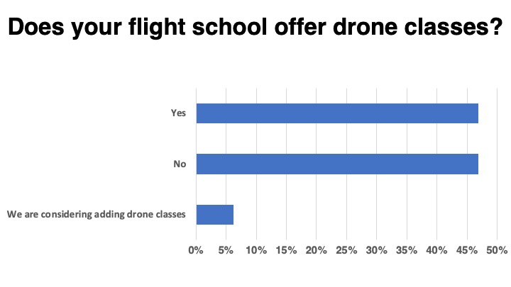 <em>Flight School Business</em>
