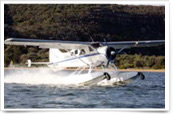 deHavilland Beaver