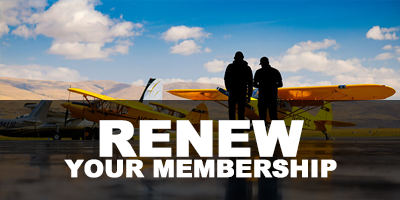 Renew