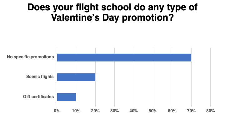 <em>Flight School Business</em>