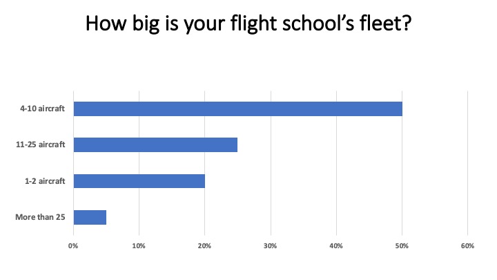 <em>Flight School Business</em>