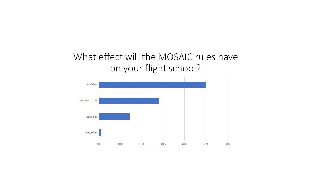 Flight School Business