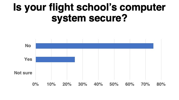 <em>Flight School Business</em>