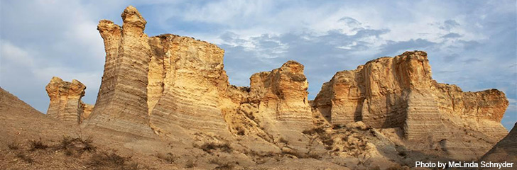 AOPA