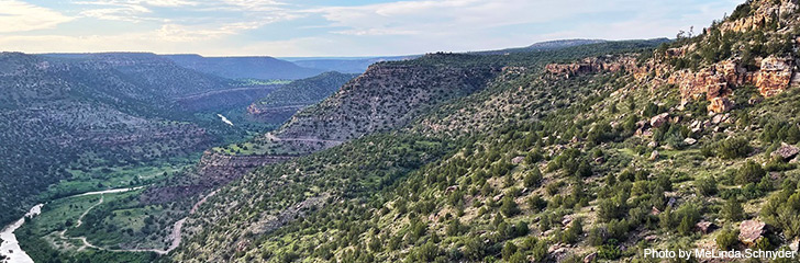 Extreme experiences at Canyon Madness Ranch